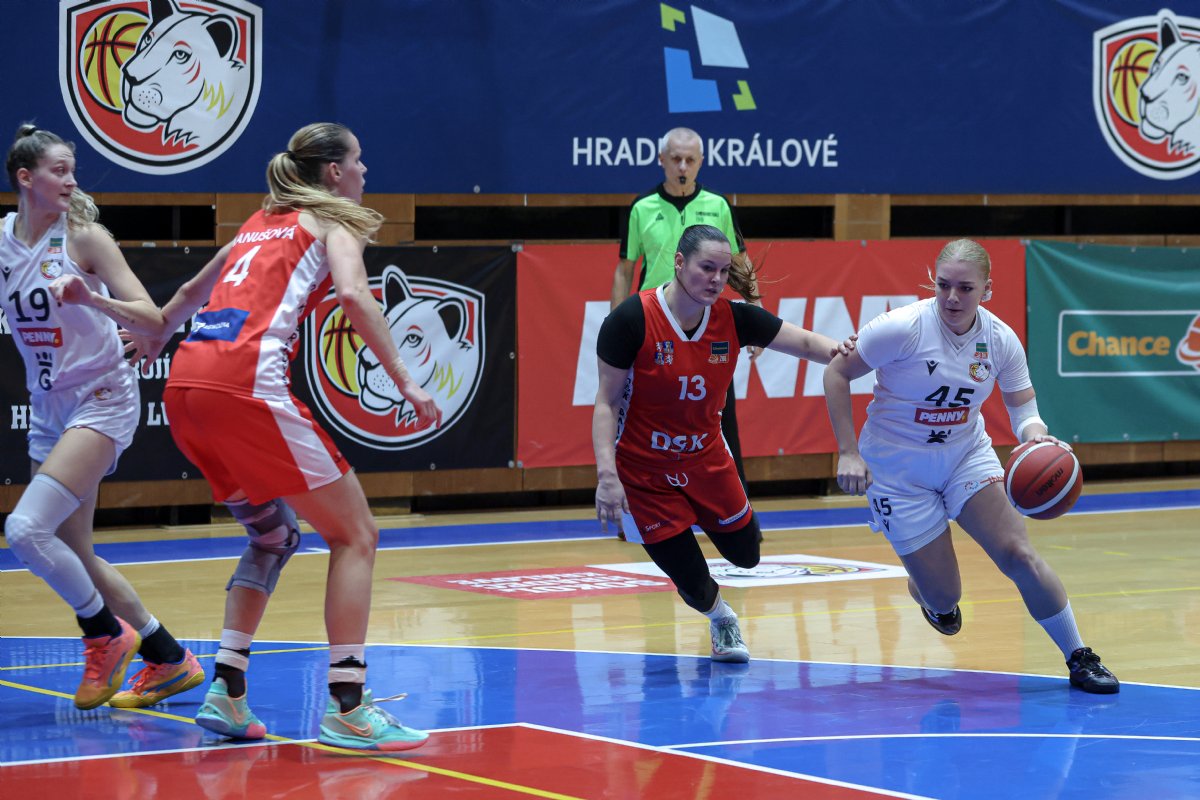 HK Lvice